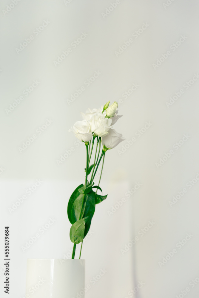 ramo de rosas blancas sobre fondo blanco y tallo verde estilo minimalista  elegante y limpio foto de Stock | Adobe Stock
