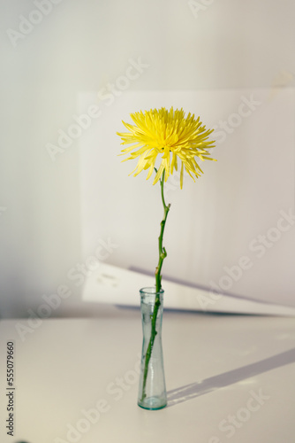 Ramo de flores amarillas en jarron con fondo blanco limpio, moderno, elegante 