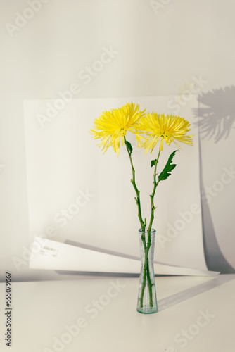 Ramo de flores amarillas en jarron con fondo blanco limpio, moderno, elegante 