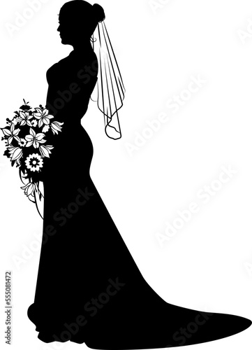 A woman bride in a bridal wedding dress in a silhouette