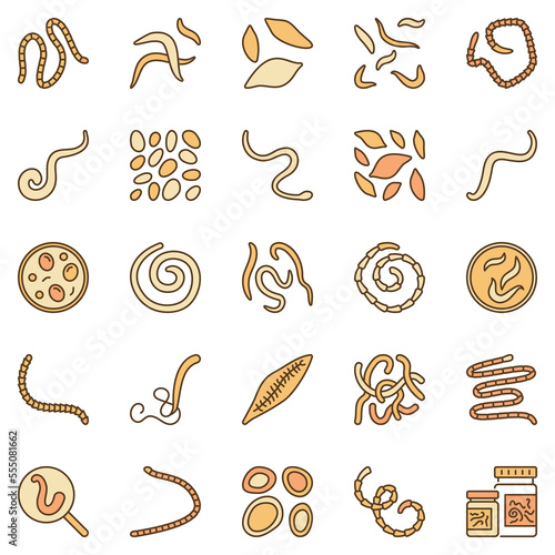 Helminth colored vector icons - Helminths Intestinal Worms concept symbols