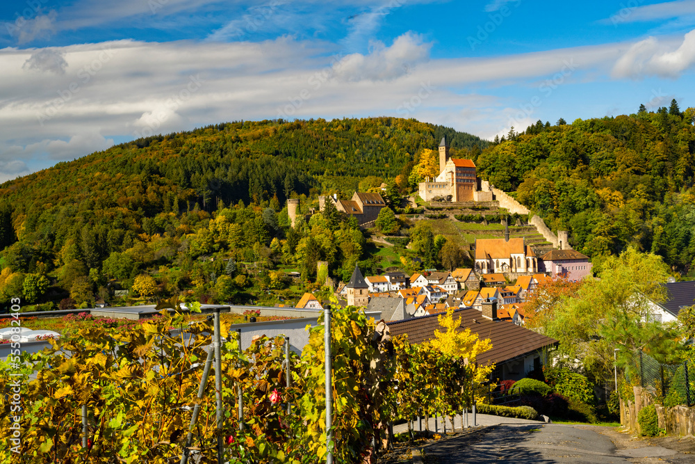 Hirschhorn Castle a ruined castle on the Neckar Hirschhorn Castle a ruined castle on the Neckar