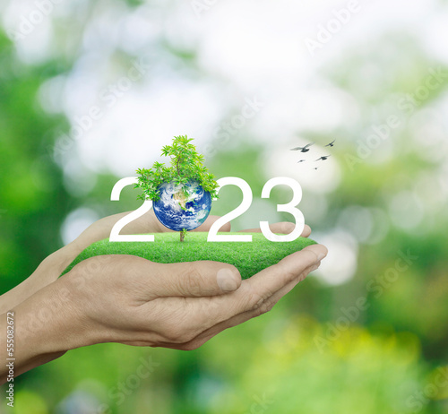 2023 white text with planet and tree on green grass field in hands over blur green tree in park, Happy new year 2023 ecological cover, Save the earth concept, Elements of this image furnished by NASA