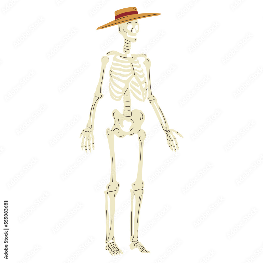 Skeleton with straw hat vector illustration in flat color design