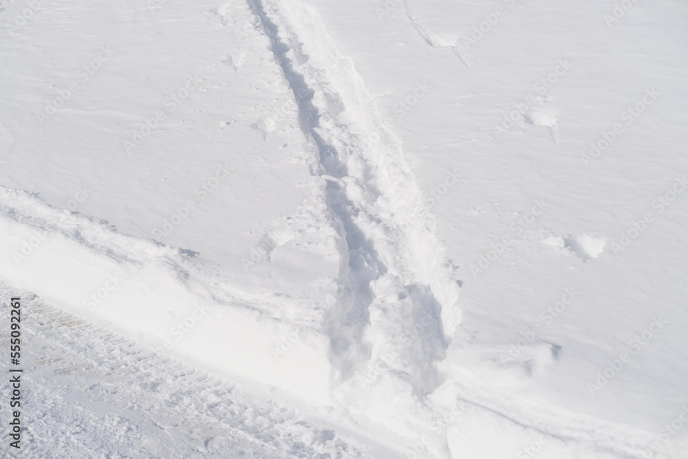 fluffy white snow with prints of animal footprints, beautiful winter landscape, snowfall in forest, hunter, tracker is tracking the game, Heath and Winter Activity Concept, travel fluffy white snow with prints of animal footprints, beautiful winter landscape, snowfall in forest, hunter, tracker is tracking the game, Heath and Winter Activity Concept, travel