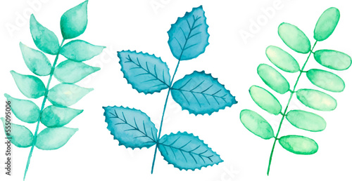 Leaves Watercolor Hand Drawn. Set of green leaf in watercolor isolated on white background. Decorative beauty elegant illustration collection for design. © Aoiiz