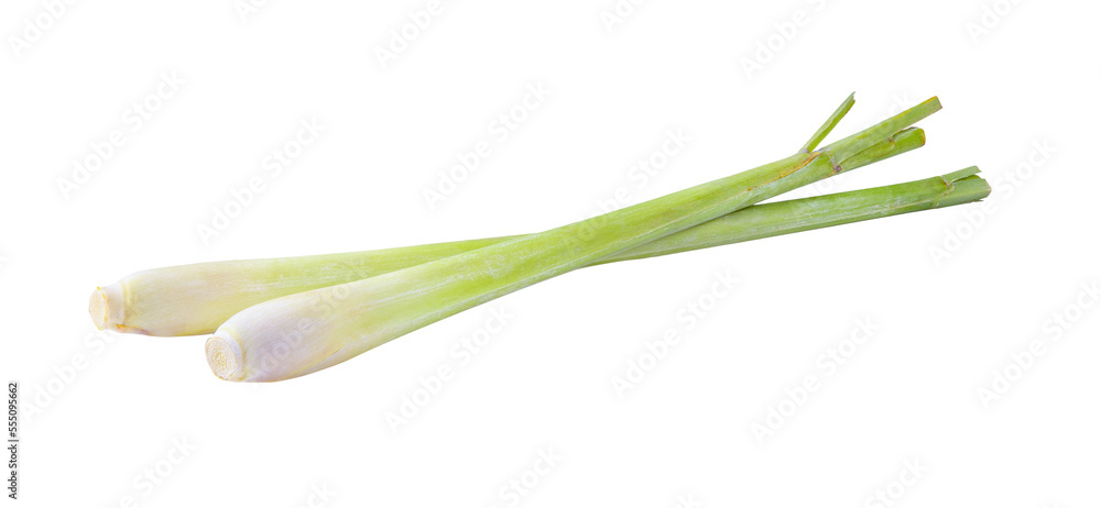 Lemongrass isolated on transparent png Lemongrass isolated on transparent png