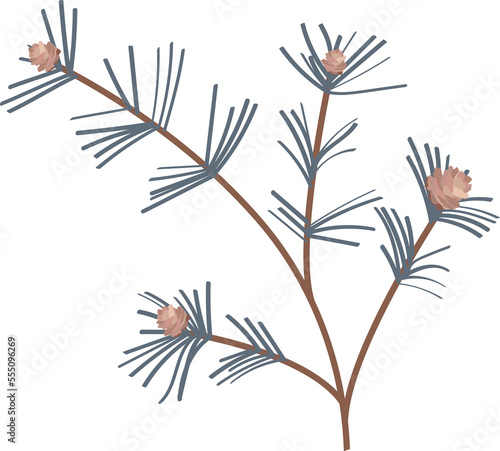 Fototapeta Naklejka Na Ścianę i Meble -  Christmas fir tree branch with brown pine cone and needle. Vector illustration. Png, transparency.