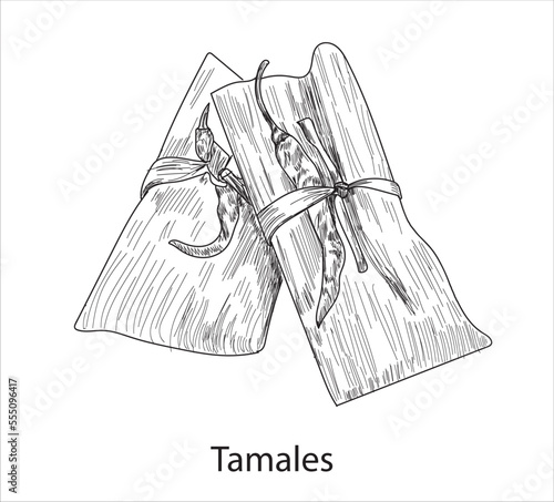 Tamales mexican food vector. Best Mexican Dishes. Latin american food illustration.