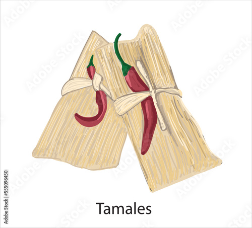 Tamales mexican food vector. Best Mexican Dishes. Latin american food illustration.