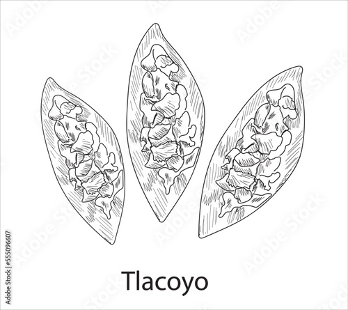 Tlacoyo mexican food vector. Best Mexican Dishes. Latin american food illustration. photo