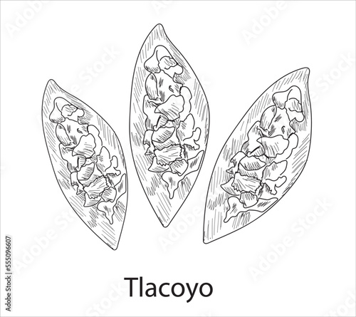 Tlacoyo mexican food vector. Best Mexican Dishes. Latin american food illustration.