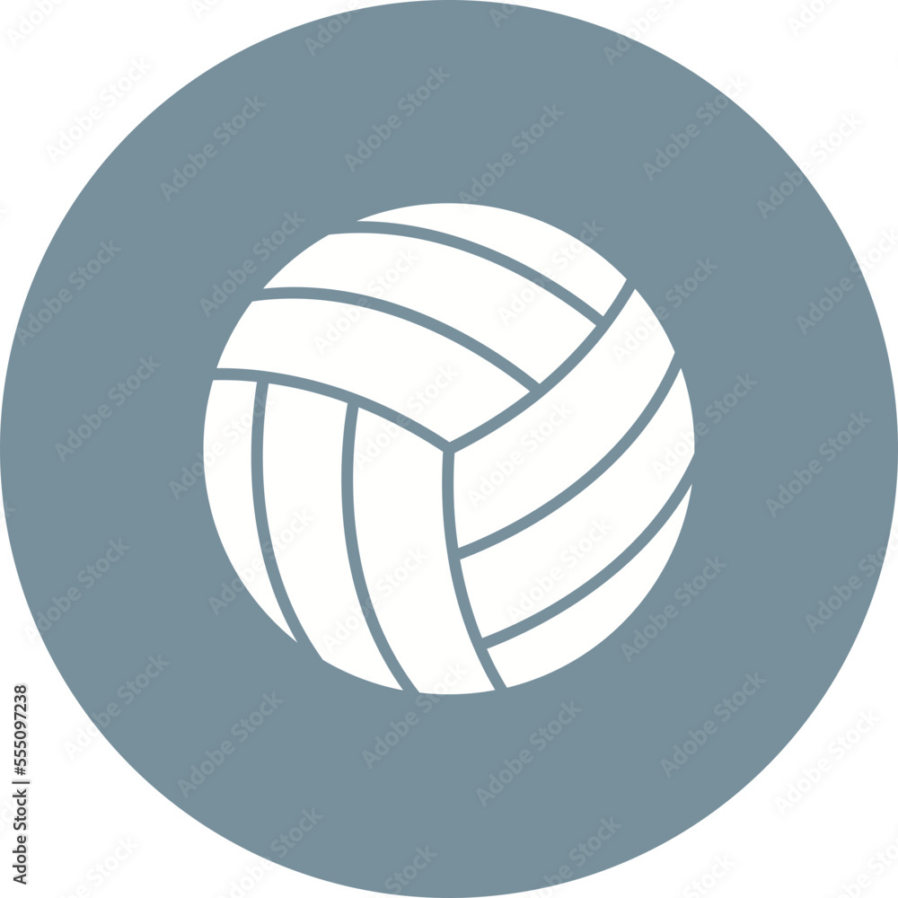 Volley Ball Icon