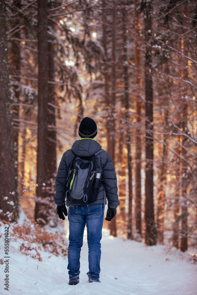 tourist with a backpack hiking in a snowy forest in winter tourist with a backpack hiking in a snowy forest in winter