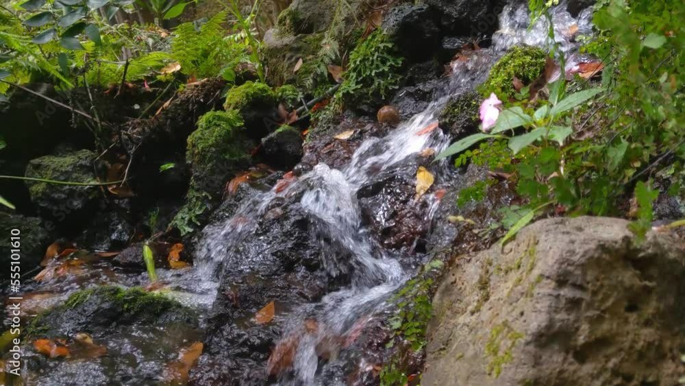 Close-up on a mountain stream. Crystal clear water. Water flows over stones and green moss Close-up on a mountain stream. Crystal clear water. Water flows over stones and green moss