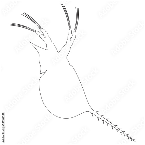 Plankton or water flea shameless vector icon. Cartoon vector icon isolated on white background.