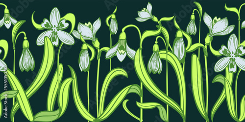 border of graphic snowdrop flowers.Decorative galatea flower pattern.Vector first spring flowers.