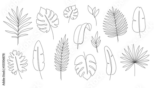 Outline tropic palm leaf set. One continuous line art tropic tree leaves. Editable stroke monstera, jungle foliage floral element. Isolated vector illustration