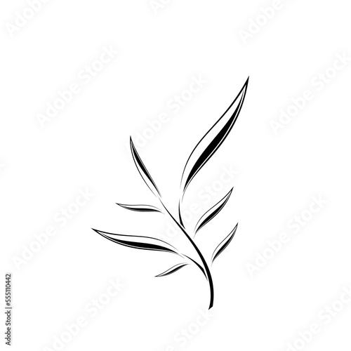 Minimalist leaf design logo