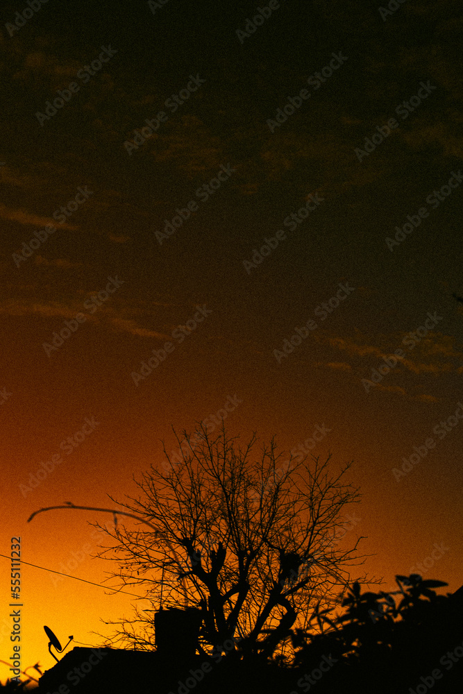 Fototapeta premium silhouette at sunset