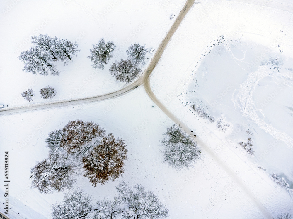 Aerial view. Winter landscape, park , trees, path, snow, frost, white fluff.