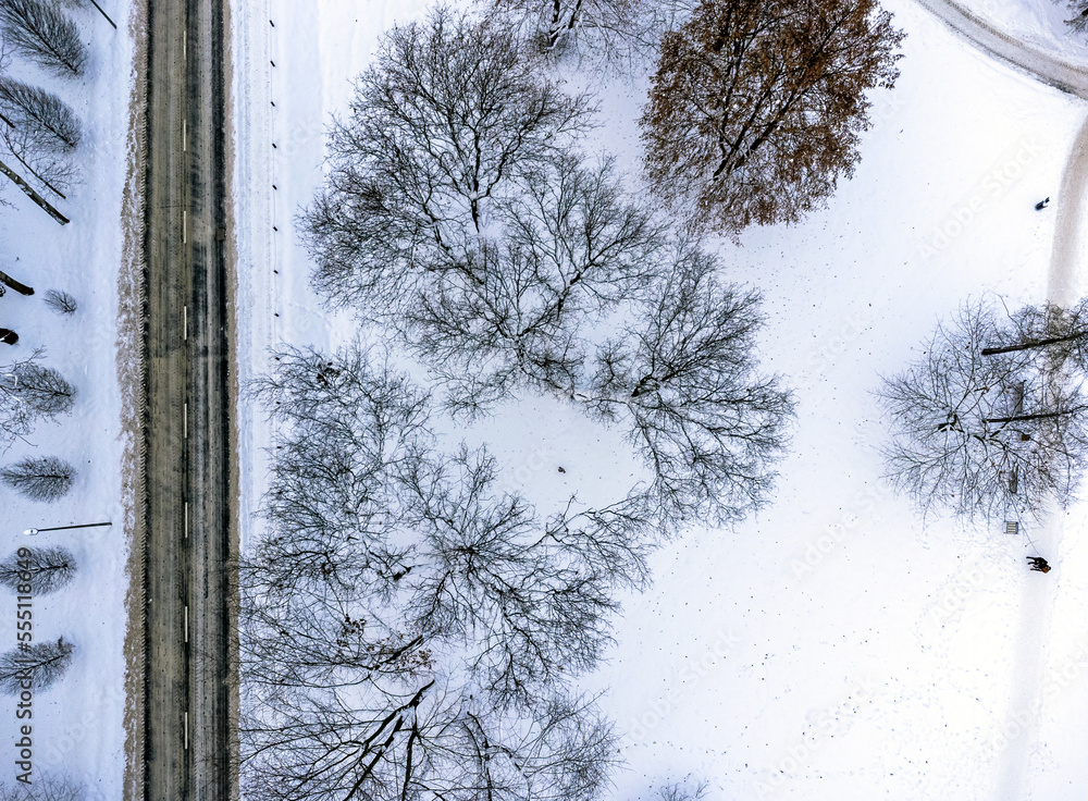 Aerial view. Winter landscape, park , trees, road, path, snow, frost, white fluff.
