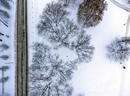 Obraz na płótnie Aerial view. Winter landscape, park , trees, road, path, snow, frost, white fluff. w salonie