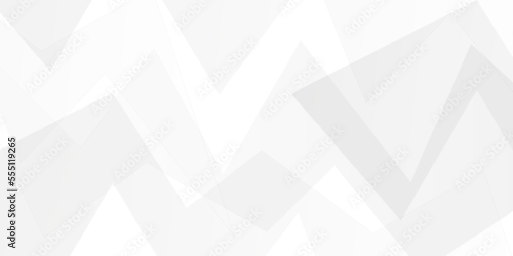 Abstract geometric background . Abstract background with lines . Gray and white texture background . white and gray paper triangle abstract background. white paper texture and business ,card,flyer . Abstract geometric background . Abstract background with lines . Gray and white texture background . white and gray paper triangle abstract background. white paper texture and business ,card,flyer .