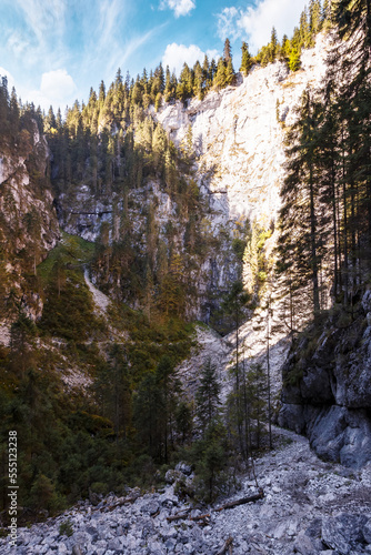 gorge of cetatile ponorului, romania. coniferous trees on the rock above the cave. discover apuseni mountains of bihor country © Pellinni
