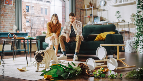 Funny Moment: Pug Dog Runs Away After Ruining Potted Flower by Overturning it and Making Mess in the Whole Apartment. Couple Sitting on Couch with look of Disbelief, Frustration. Cute Silly Puppy