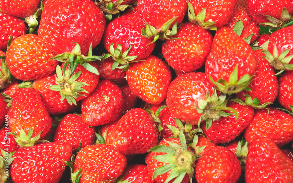 Strawberry plants fresh from the garden farm Strawberry plants fresh from the garden farm