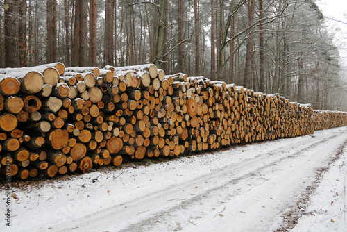 lange Holzpolter am Waldweg im Winter