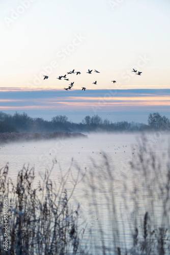 Fototapeta Naklejka Na Ścianę i Meble -  Beautiful winter morning, sunrise on lake the Netherlands.