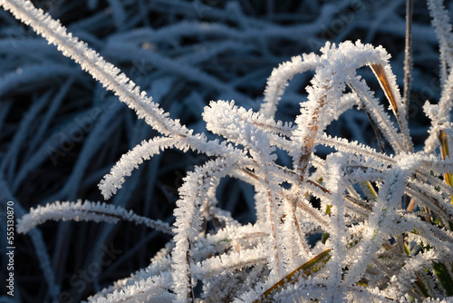 Hoarfrost on frozen grass with soft focus background.