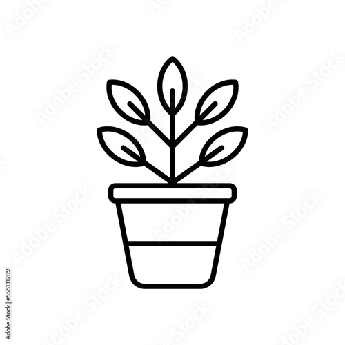 pot flower icon vector design template simple and modern