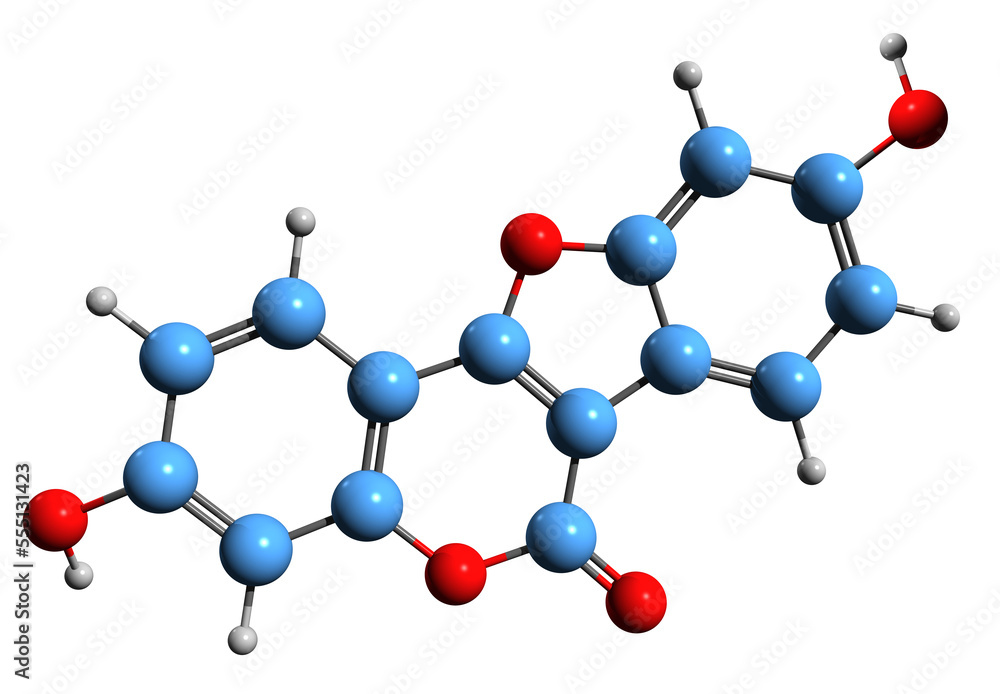 3D image of Coumestrol skeletal formula - molecular chemical structure of coumestan phytochemical isolated on white background 3D image of Coumestrol skeletal formula - molecular chemical structure of coumestan phytochemical isolated on white background