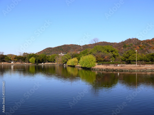                                                      The pond of the park. Mizushima forest sports park. Kurashiki Okayama pref  West Japan.