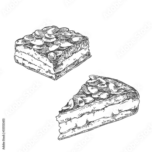 Hand drawn vector Bienenstich illustration. Traditional German bee sting cake. National dessert pieces template for design, ad, menu, label
