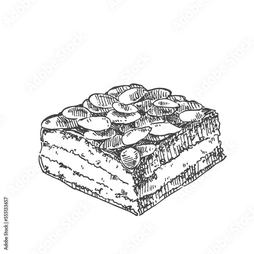 Hand drawn vector Bienenstich illustration. Traditional German bee sting cake. National dessert pieces template for design, ad, menu, label