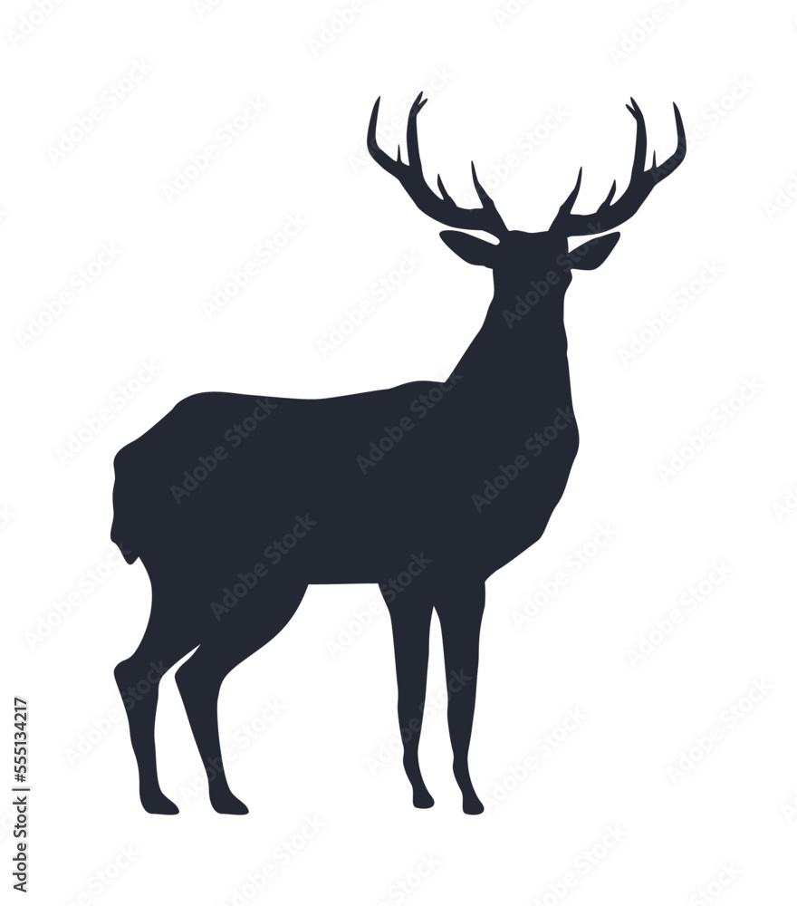 Fototapeta premium reindeer animal black silhouette