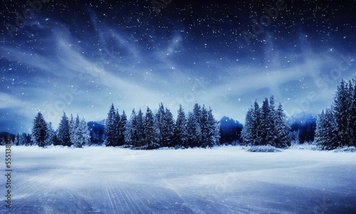 winter forest landscape, blue starry sky © Alice