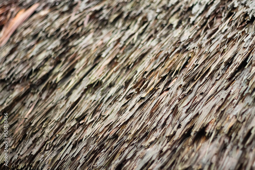 Photo of a thatched roof.