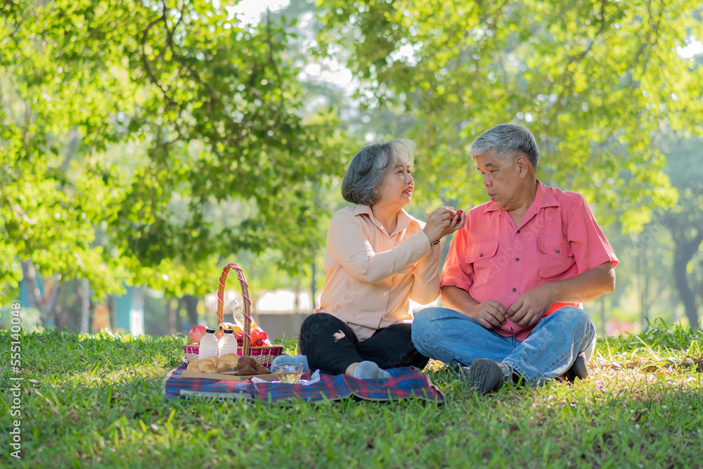 Happy old elderly couple spouses relaxing and sitting on a blanket in the park and sharing few precious memories. Senior couple having great time together on a picnic. concept of mature relationships Happy old elderly couple spouses relaxing and sitting on a blanket in the park and sharing few precious memories. Senior couple having great time together on a picnic. concept of mature relationships