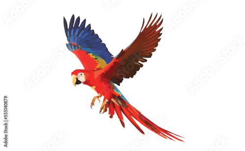 Scarlet macaw parrot flying isolated on white background.