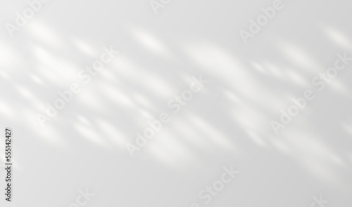 Sunlight on a gray wall, sunbeams in a room, sunny day background for product presentation. Vector illustration.