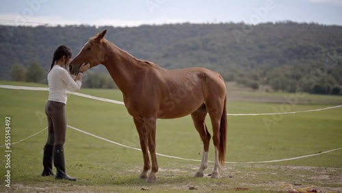 Woman in the farm with a horse touching it and kissing, green hills view and countryside life. Love domestic animals, they are our best friends