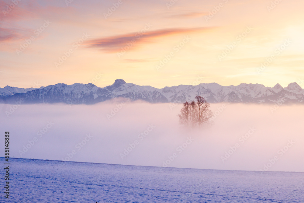 three standing out of a sea of fog in Emmental with Stockhorn ridge in the distance