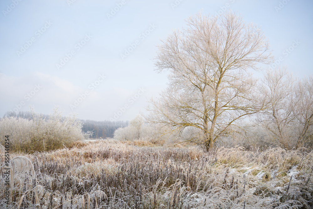 Prairies en hiver