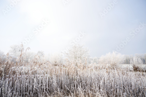 Prairies en hiver