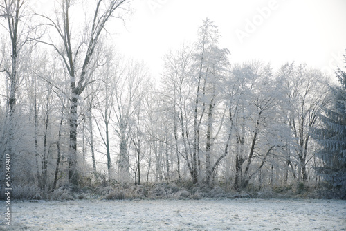 Prairies en hiver